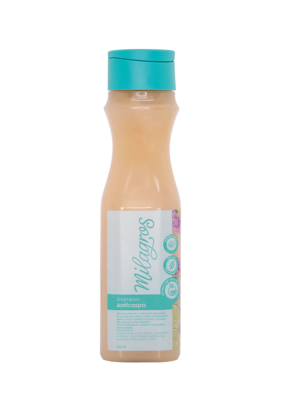 Shampoo Anticaspa 450 ML